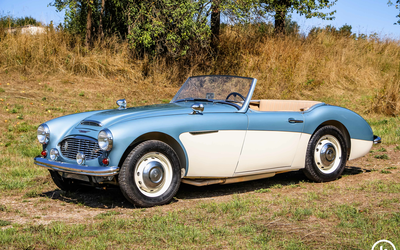 Austin-Healey BN4 100/6 vollständig restauriert Heritage Certificate tadelloser Zustand (1958)