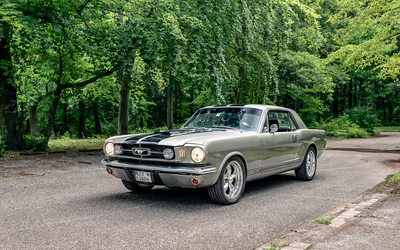 Ford Mustang Coupé Restauriert Investitionen von 20.000 € mit Wertgutachten (1965)