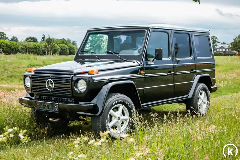 Mercedes-Benz GD 250 W 460.3 (1989)