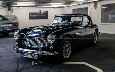 Austin-Healey 3000 Mk1 Roadster Owned since 2013 Engine & Gearbox Overhauled Certificate Grade 2+ (1959)
