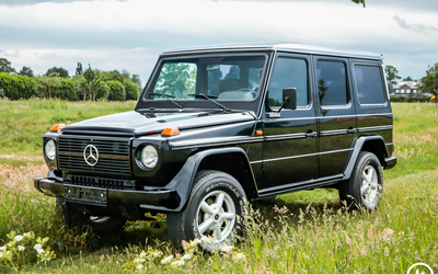 Mercedes-Benz GD 250 W 460.3 (1989)