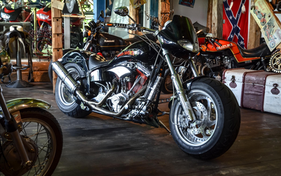 Daytec Softail 2nd hand collector's item With registrations Unique look (1986)