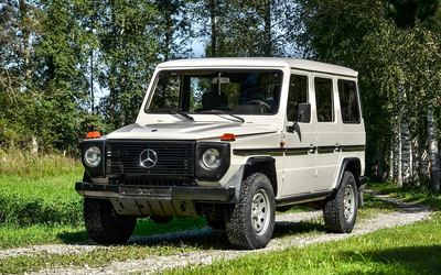 Mercedes-Benz W460 240 GD Restored TÜV H license plate Fully painted 20.000 € Investment Very well maintained condition (1981)