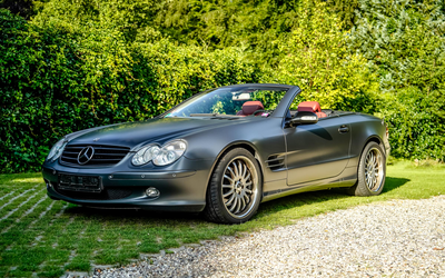 Mercedes Benz R230 500 SL silver foiled Extensive equipment (2001)