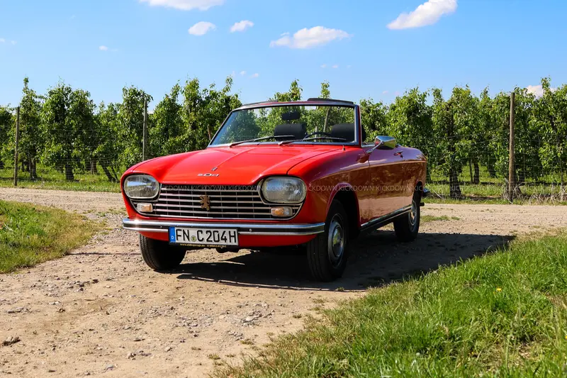 Peugeot 204 Cabriolet (1969), replacement engine installed, DEKRA inspection report, extensive chassis and bodywork repairs in 2013