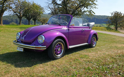 Volkswagen Käfer 1303 LS vollst. Restauriert, Motorrevision, einmalige Farbe und Zustand (1975)