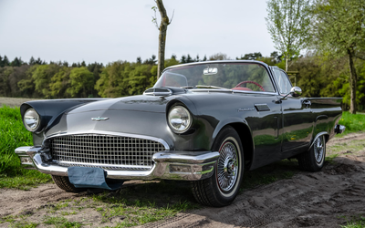 Ford Thunderbird USA-Import H-Kennzeichen Restauriert Gepflegter Gesamtzustand (1957)