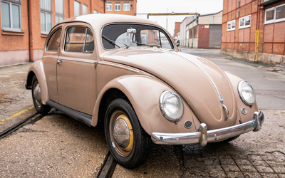 Volkswagen Käfer 1200 Ovali sehr gute Basis für Restauration (1956)