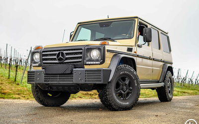 Mercedes-Benz G 350 CDI PROFESSIONAL off-road package from 2nd hand complete checkbook desert sand (2016)
