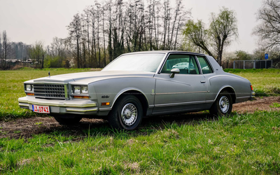 Chevrolet Monte Carlo Landau (1980) aus 2. Hand, 4,9L-V8, Originalzustand